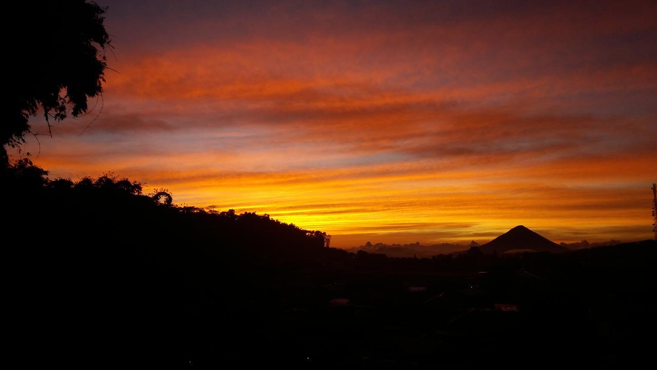 Bajawa-Roo Hotel Exteriér fotografie