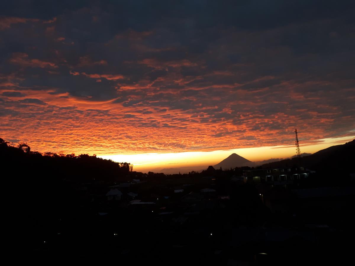 Bajawa-Roo Hotel Exteriér fotografie